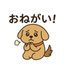 ワンちゃんの秋満喫（個別スタンプ：4）
