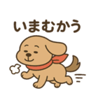ワンちゃんの秋満喫（個別スタンプ：6）
