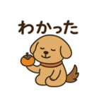 ワンちゃんの秋満喫（個別スタンプ：7）