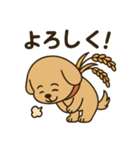 ワンちゃんの秋満喫（個別スタンプ：9）