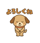 ワンちゃんの秋満喫（個別スタンプ：23）