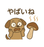 ワンちゃんの秋満喫（個別スタンプ：31）