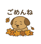 ワンちゃんの秋満喫（個別スタンプ：37）
