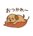 ワンちゃんの秋満喫（個別スタンプ：40）
