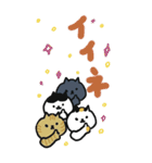 ［BIG］スタンプ日本猫の秋 日常会話（個別スタンプ：20）
