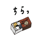 ［BIG］スタンプ日本猫の秋 日常会話（個別スタンプ：26）