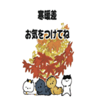［BIG］スタンプ日本猫の秋 日常会話（個別スタンプ：29）
