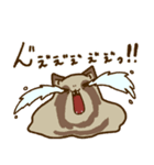 だるだるのとけたぬ（個別スタンプ：4）