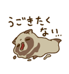 だるだるのとけたぬ（個別スタンプ：6）