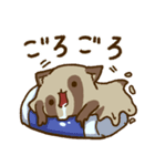 だるだるのとけたぬ（個別スタンプ：17）