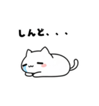 よわよわ猫 泣いちゃう編（個別スタンプ：7）