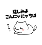 よわよわ猫 泣いちゃう編（個別スタンプ：8）