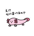 めんだこと水の中の生き物たち（個別スタンプ：32）