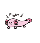 めんだこと水の中の生き物たち（個別スタンプ：33）