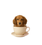 [アレンジ用]カップから犬1（個別スタンプ：2）