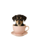 [アレンジ用]カップから犬1（個別スタンプ：5）
