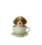 [アレンジ用]カップから犬1（個別スタンプ：6）