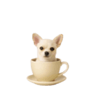 [アレンジ用]カップから犬1（個別スタンプ：13）