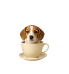 [アレンジ用]カップから犬1（個別スタンプ：16）