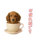 [お疲れ様です専用]カップからワンコ（個別スタンプ：2）