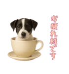[お疲れ様です専用]カップからワンコ（個別スタンプ：3）