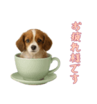 [お疲れ様です専用]カップからワンコ（個別スタンプ：4）