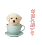 [お疲れ様です専用]カップからワンコ（個別スタンプ：5）