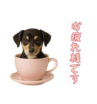 [お疲れ様です専用]カップからワンコ（個別スタンプ：6）