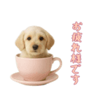 [お疲れ様です専用]カップからワンコ（個別スタンプ：7）