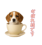 [お疲れ様です専用]カップからワンコ（個別スタンプ：12）