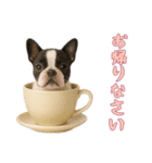 [お帰りなさい専用]カップからワンコ（個別スタンプ：2）