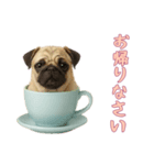 [お帰りなさい専用]カップからワンコ（個別スタンプ：4）