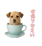 [お帰りなさい専用]カップからワンコ（個別スタンプ：10）