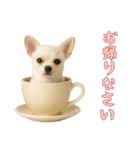 [お帰りなさい専用]カップからワンコ（個別スタンプ：11）