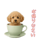 [お帰りなさい専用]カップからワンコ（個別スタンプ：13）