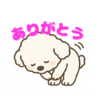 マルプーのめちゃ使い勝手の良いスタンプ（個別スタンプ：2）