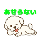 マルプーのめちゃ使い勝手の良いスタンプ（個別スタンプ：4）