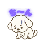 マルプーのめちゃ使い勝手の良いスタンプ（個別スタンプ：9）