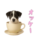 [オッケー専用]カップからワンコ（個別スタンプ：1）