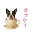 [オッケー専用]カップからワンコ（個別スタンプ：3）