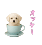 [オッケー専用]カップからワンコ（個別スタンプ：4）