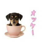 [オッケー専用]カップからワンコ（個別スタンプ：5）