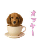 [オッケー専用]カップからワンコ（個別スタンプ：6）