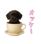 [オッケー専用]カップからワンコ（個別スタンプ：7）