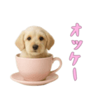 [オッケー専用]カップからワンコ（個別スタンプ：9）