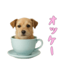 [オッケー専用]カップからワンコ（個別スタンプ：12）