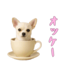 [オッケー専用]カップからワンコ（個別スタンプ：14）