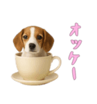 [オッケー専用]カップからワンコ（個別スタンプ：15）