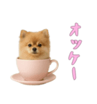[オッケー専用]カップからワンコ（個別スタンプ：16）