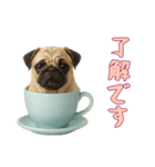 [了解です専用]カップからワンコ（個別スタンプ：1）